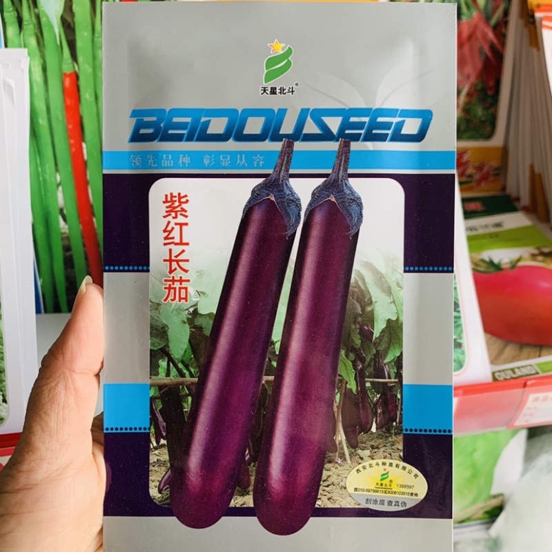 绿霸种苗东方茄美紫红长茄种子紫红色茄子种子长条形基地专用
