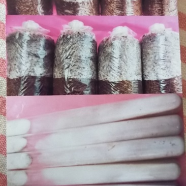 羊肚菌菌种，母种，原种，营养包，送栽培资料，收购产品