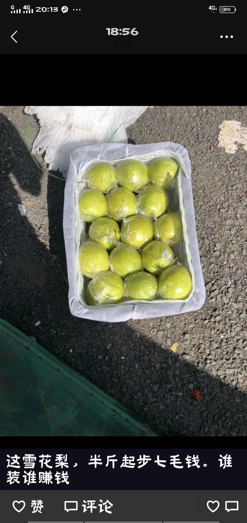 雪花梨口感脆甜汁多肉厚果皮金黄产地直发