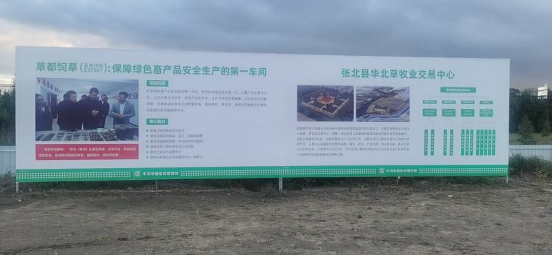 【荐】厂家直供玉米秸秆青储草料诚信经营货源充足