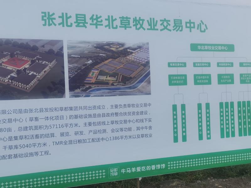 【荐】厂家直供玉米秸秆青储草料诚信经营货源充足
