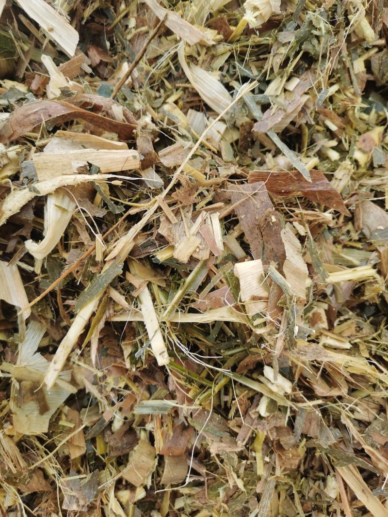 【荐】厂家直供玉米秸秆青储草料诚信经营货源充足