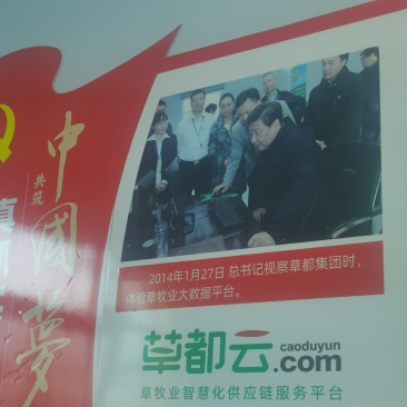 【荐】厂家直供玉米秸秆青储草料诚信经营货源充足