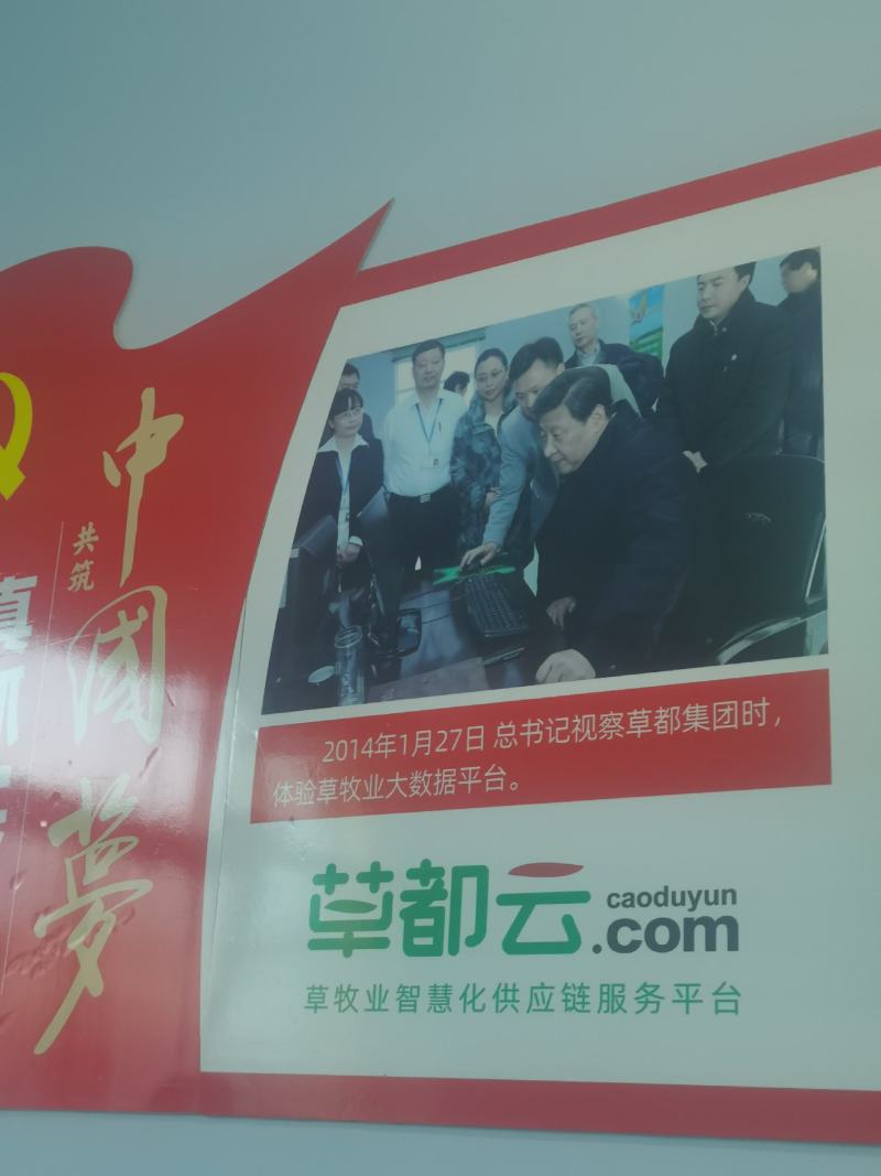 【荐】厂家直供玉米秸秆青储草料诚信经营货源充足