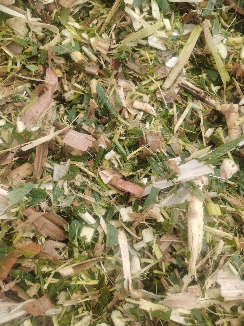 【荐】厂家直供玉米秸秆青储草料诚信经营货源充足