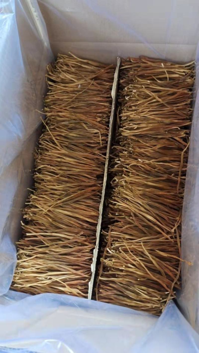 陕西大荔无硫托盘精品菜，黄花菜一手货源质量保证欢迎订购