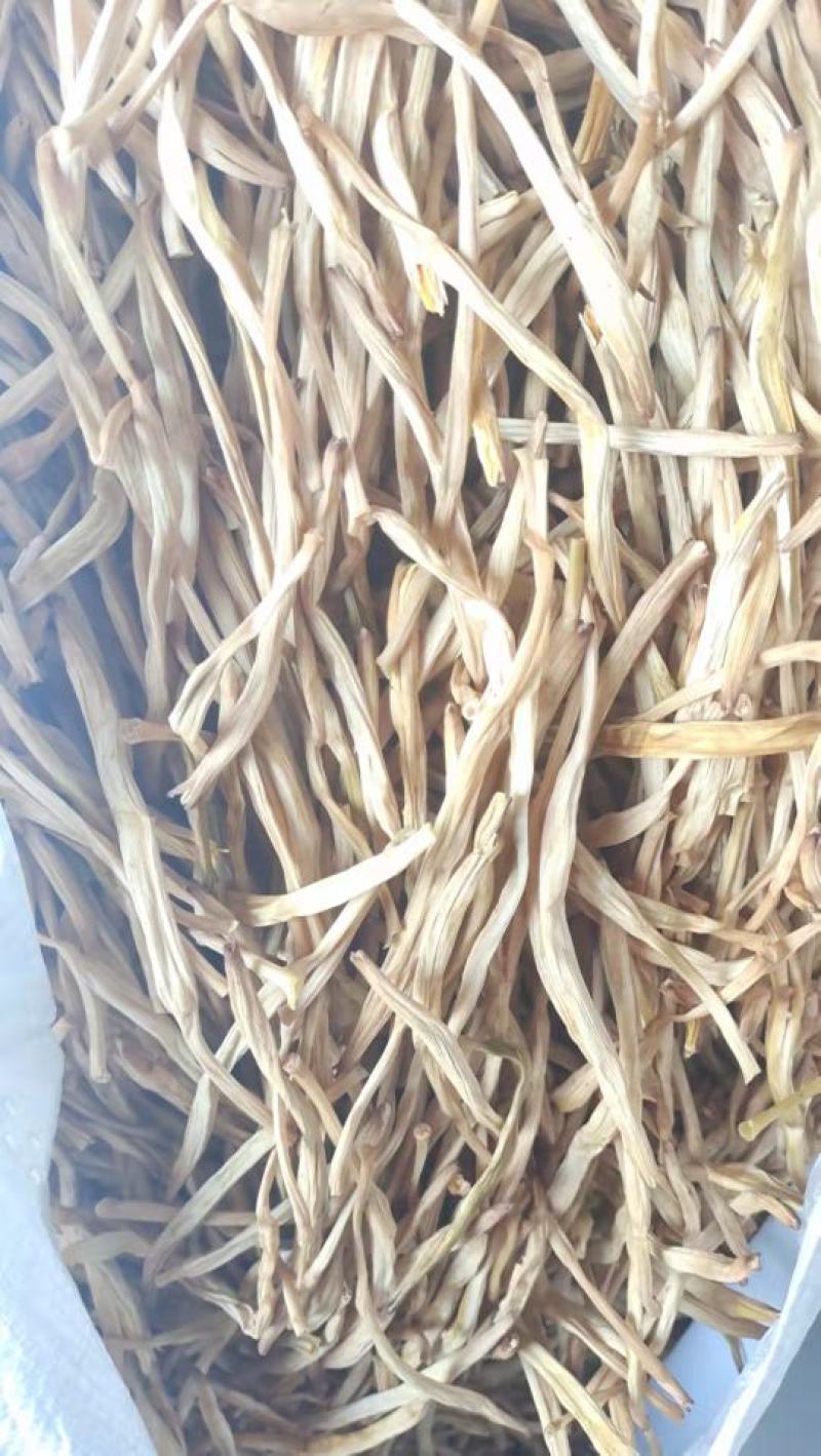 陕西大荔无硫托盘精品菜，黄花菜一手货源质量保证欢迎订购