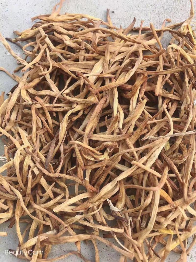 陕西大荔无硫托盘精品菜，黄花菜一手货源质量保证欢迎订购