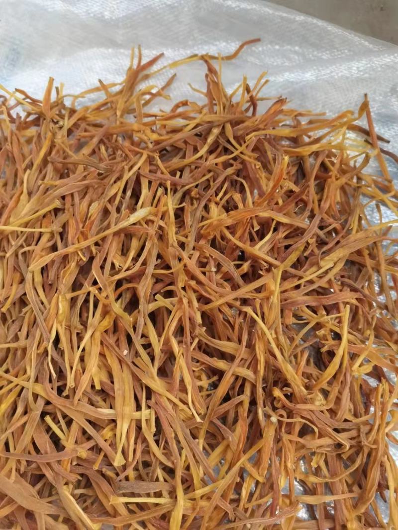 陕西大荔无硫托盘精品菜，黄花菜一手货源质量保证欢迎订购