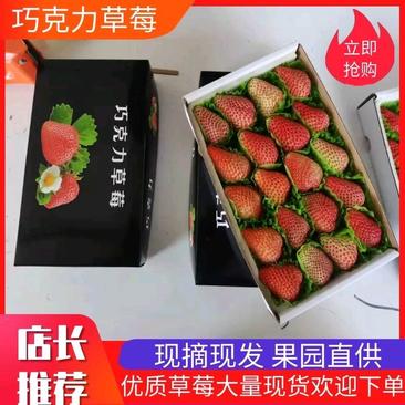 丹东九九草莓烘培巧克力包装寻求各地经销商批发商