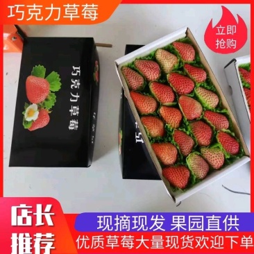 丹东九九草莓烘培巧克力包装寻求各地经销商批发商