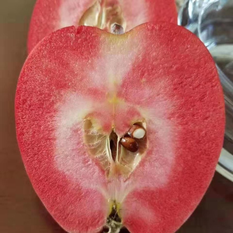 水果，苹果，红色之爱苹果