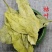 橘叶无硫干货颜色绿干净无杂一公斤起包邮