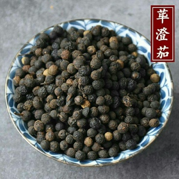 中药材荜澄茄山胡椒木姜子无硫干货一公斤起