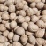 新疆纯幸福纸皮核桃、185纸皮核桃烤核桃大量现货