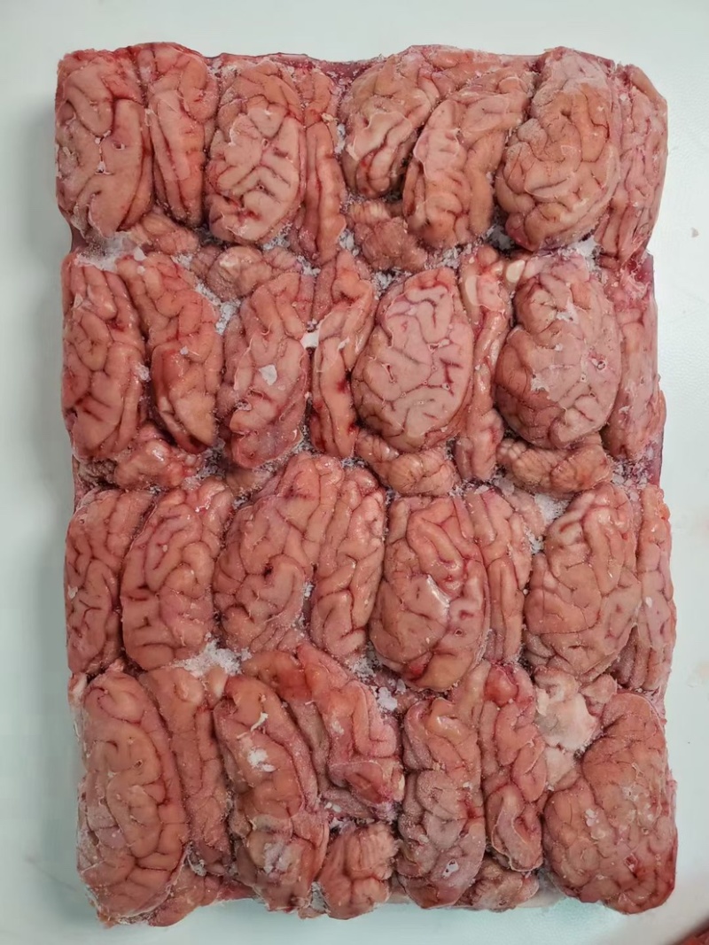 猪脑
