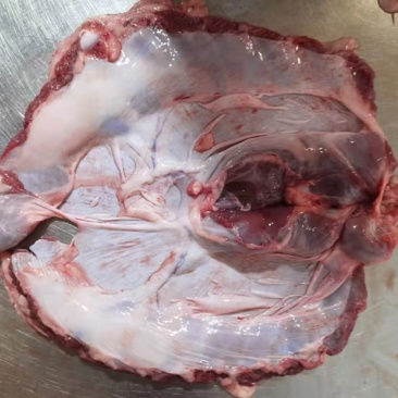 连肝肉