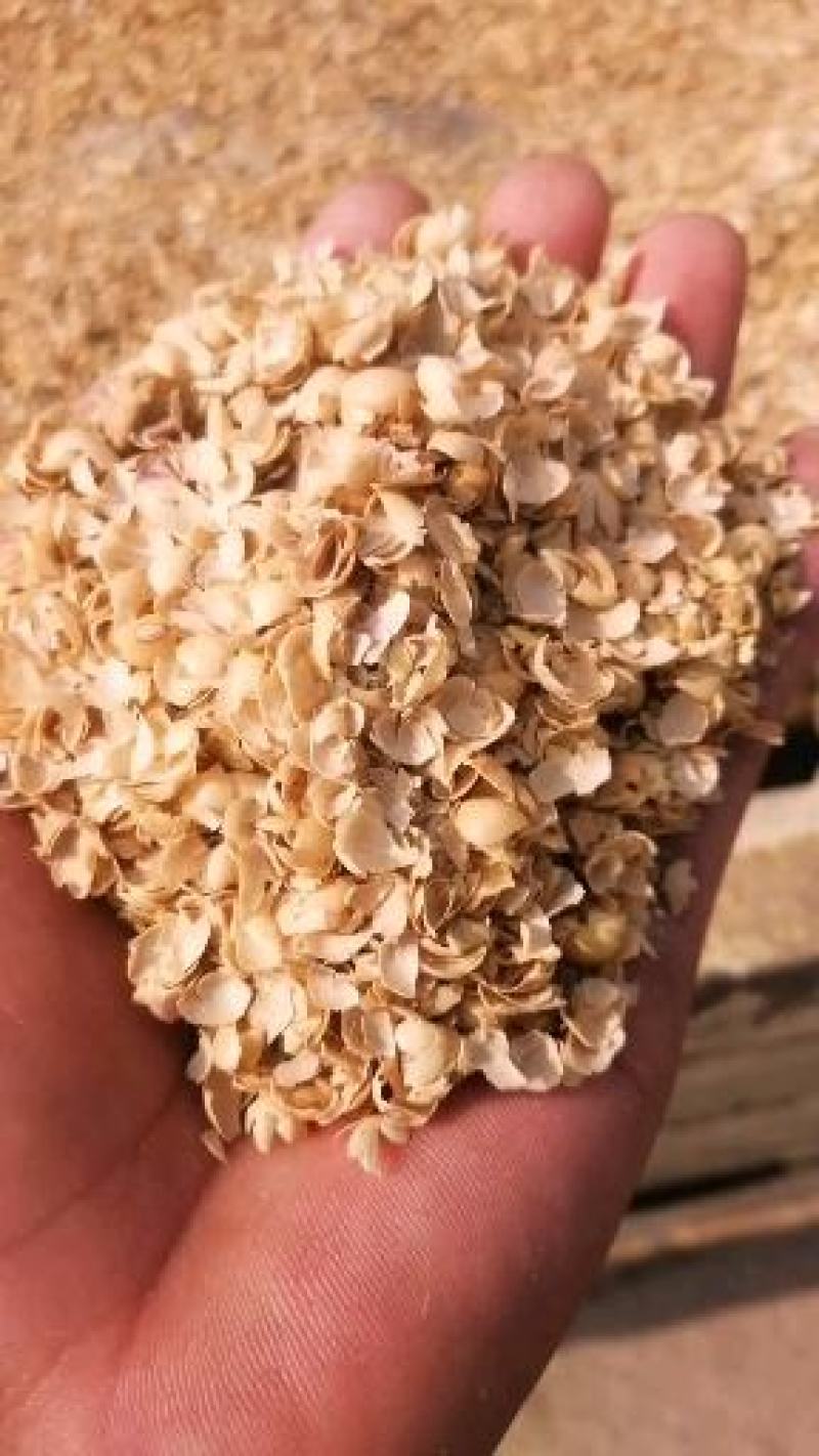 山东黄豆皮碎适合牛羊养殖，育肥，产地直发欢迎各位老板洽