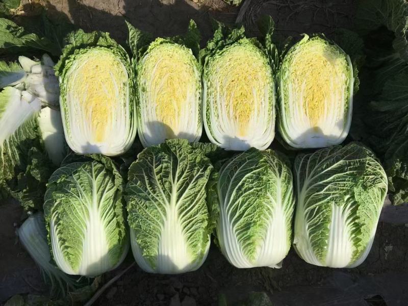 蔬菜