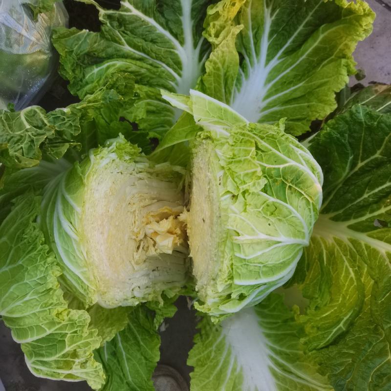 蔬菜