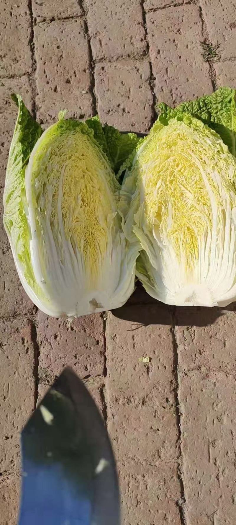 蔬菜