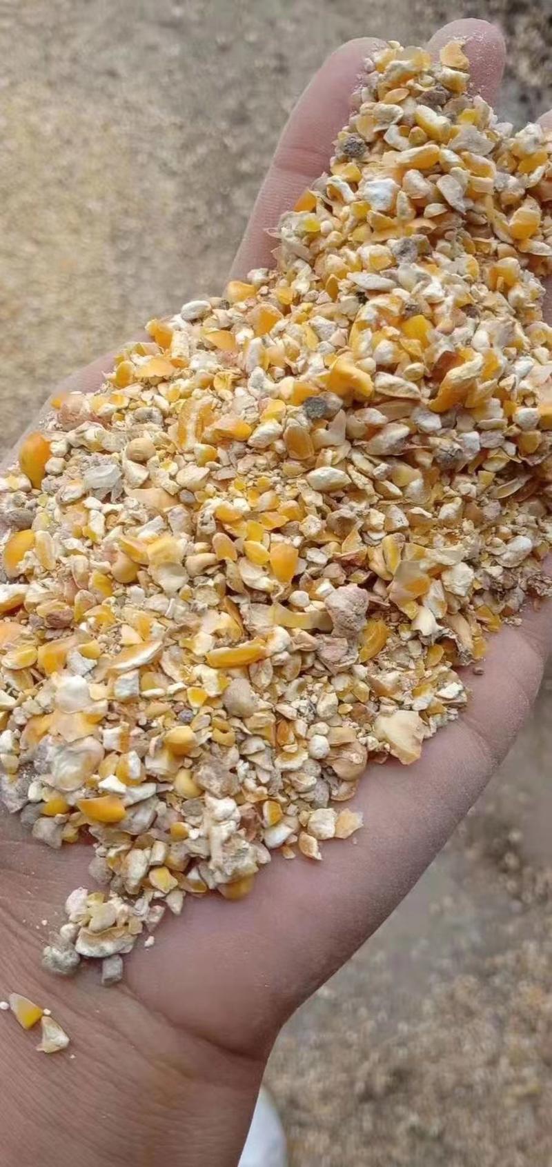 【碎玉米】常年供应各种下脚料干净，厂家直销价格不高