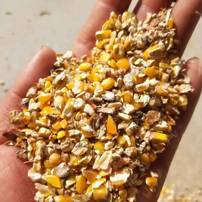 常年大量供应碎小麦碎玉米各种下脚料适合鸡鸭鹅牛羊养殖