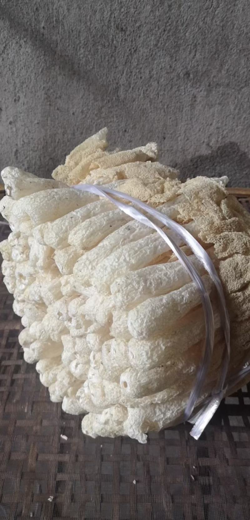 长裙竹荪精选干货专业定制各种大小包装新货无硫薰产地直销