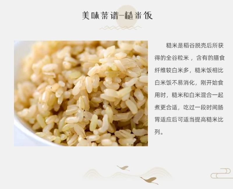 东北糙米5斤装玄米胚芽米新米杂粮正宗五常稻花香糙米黑龙江