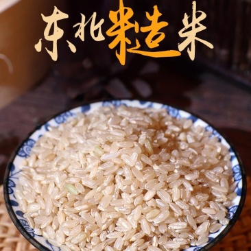 东北糙米5斤装玄米胚芽米新米杂粮正宗五常稻花香糙米黑龙江