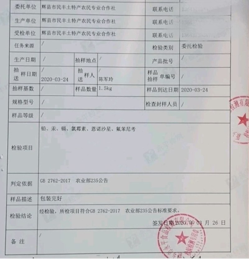 正宗绿壳乌鸡蛋河南特产农家散养乌鸡蛋绿壳蛋蛋黄大蛋