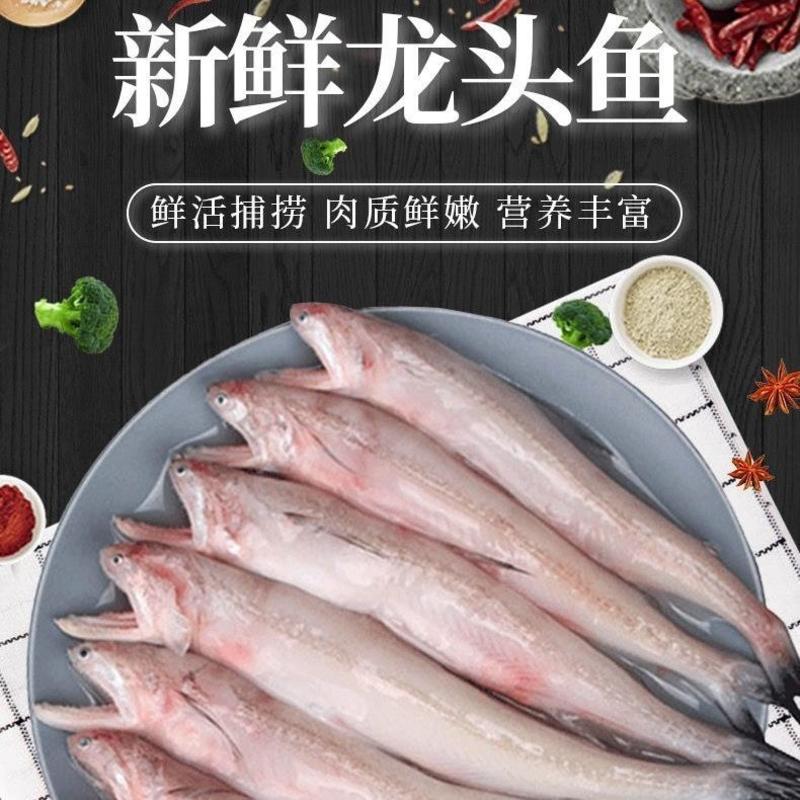 新鲜冷冻龙头鱼当季捕捞豆腐鱼全国快速冰鲜发货海鲜海鱼水产