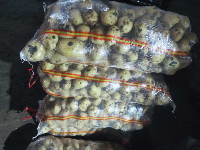 内蒙黄心土豆，一手货源，品种齐全，全国发货
