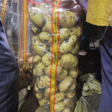 内蒙黄心土豆,一手货源,品种齐全,全国发货