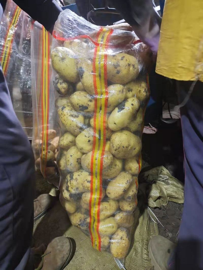 内蒙黄心土豆，一手货源，品种齐全，全国发货