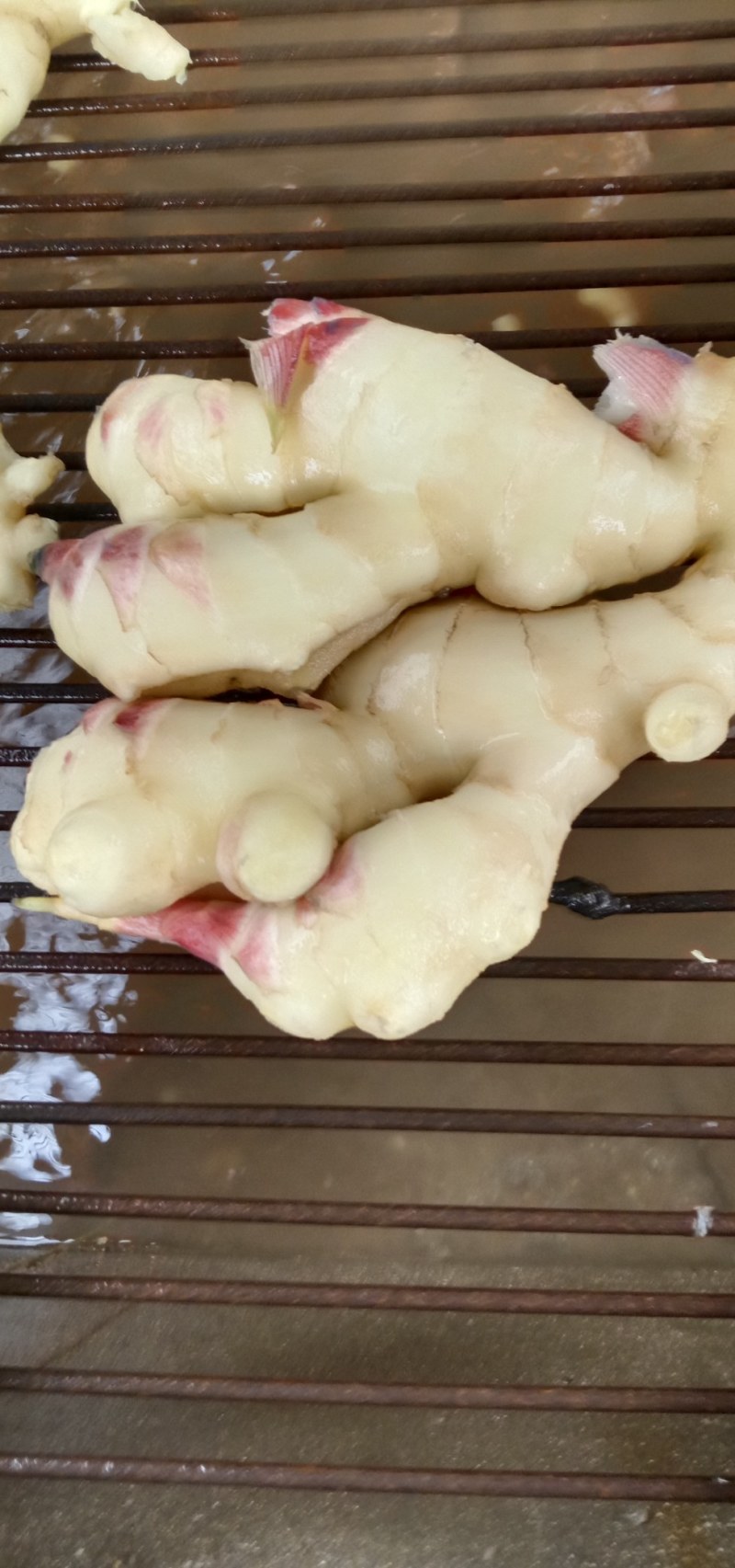 鲜姜，饱满，品像好。
