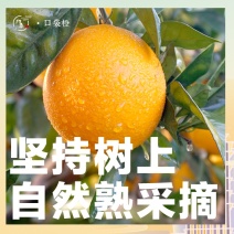 赣南口袋橙