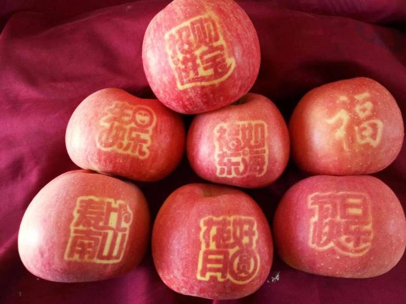 【精选推荐】山西运成冰糖心红富士平果产地直销产地直供