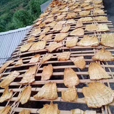 黄笋干，大瑶山精选，一手货源，品质保证可放心选购