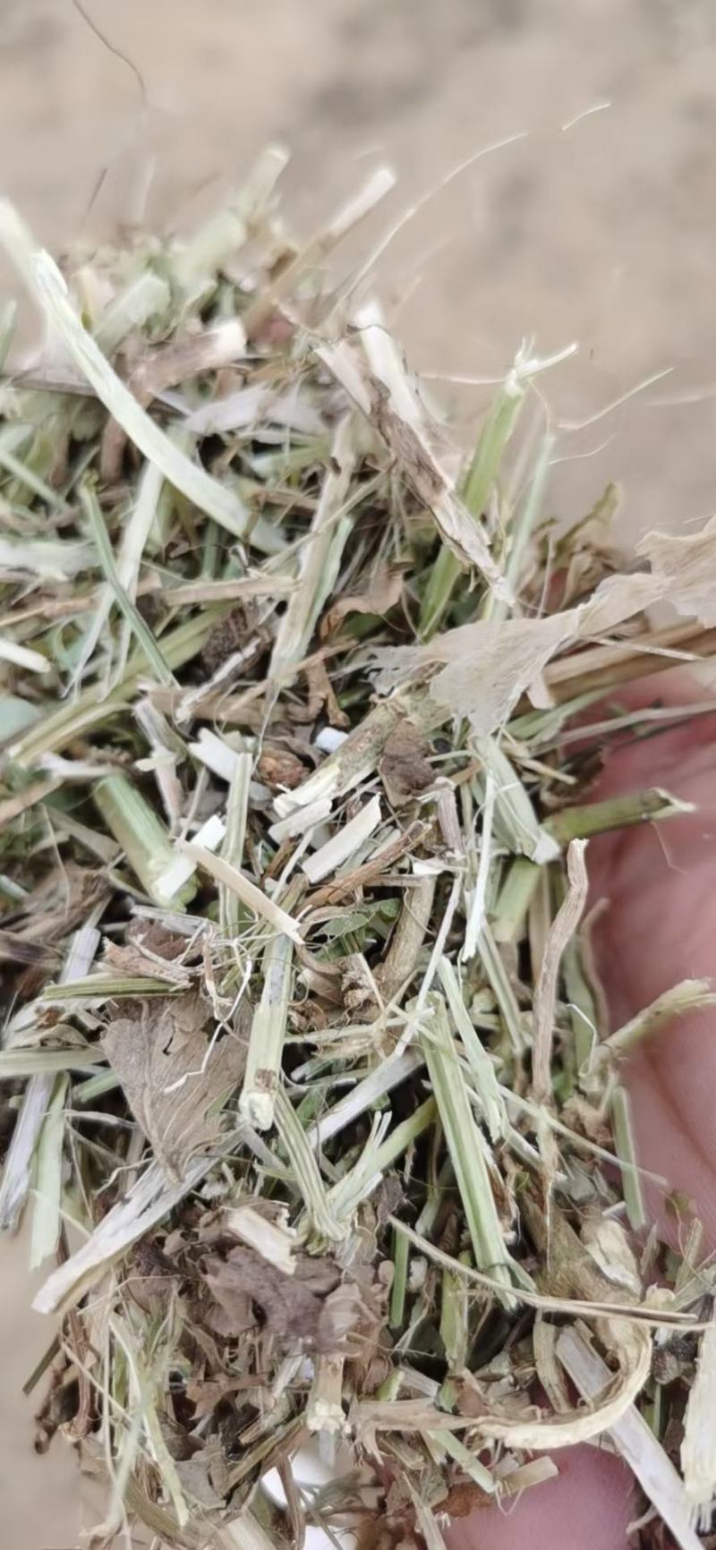 牛草，羊草，馿草，马草，花生秧草段