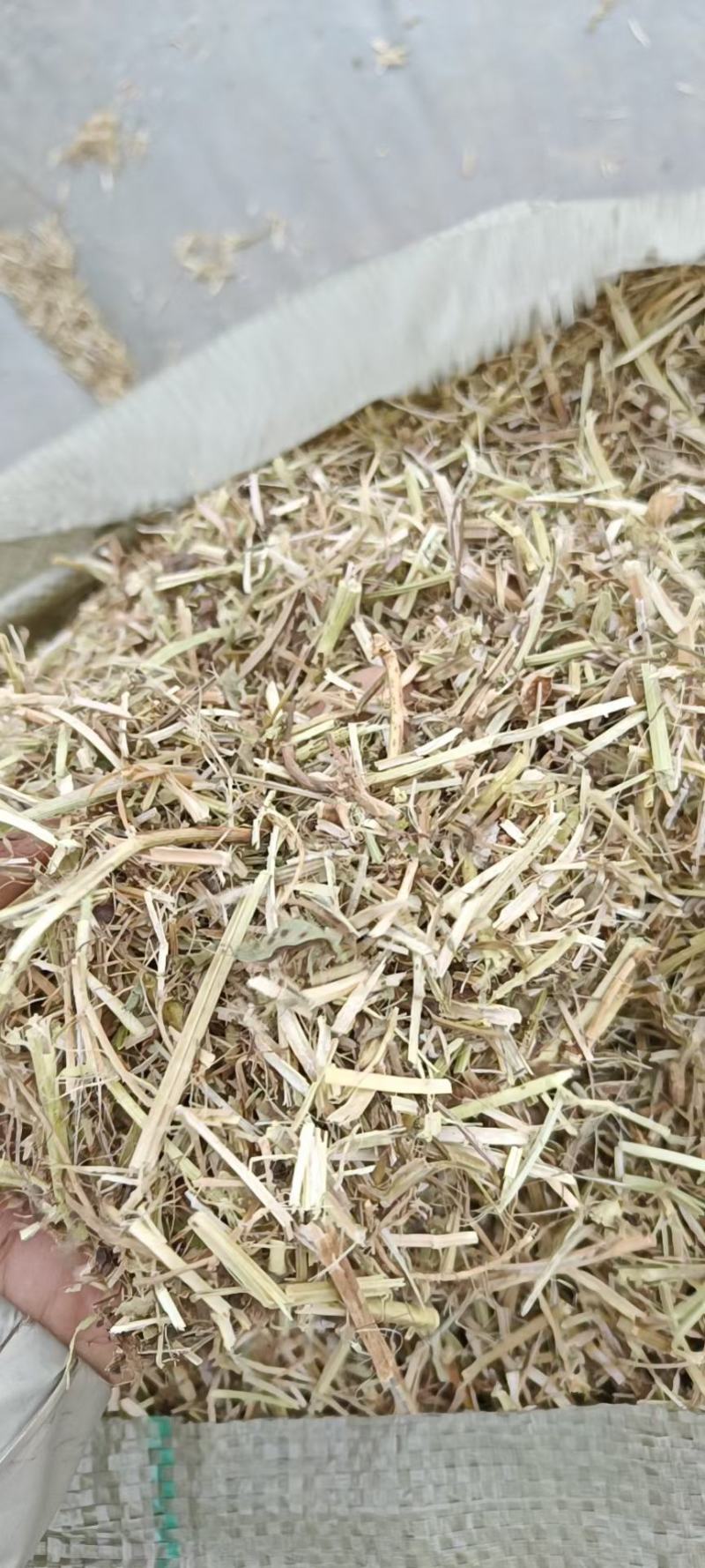 牛草，羊草，馿草，马草，花生秧草段