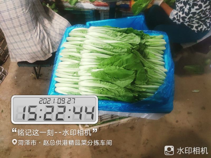 每天大量有货