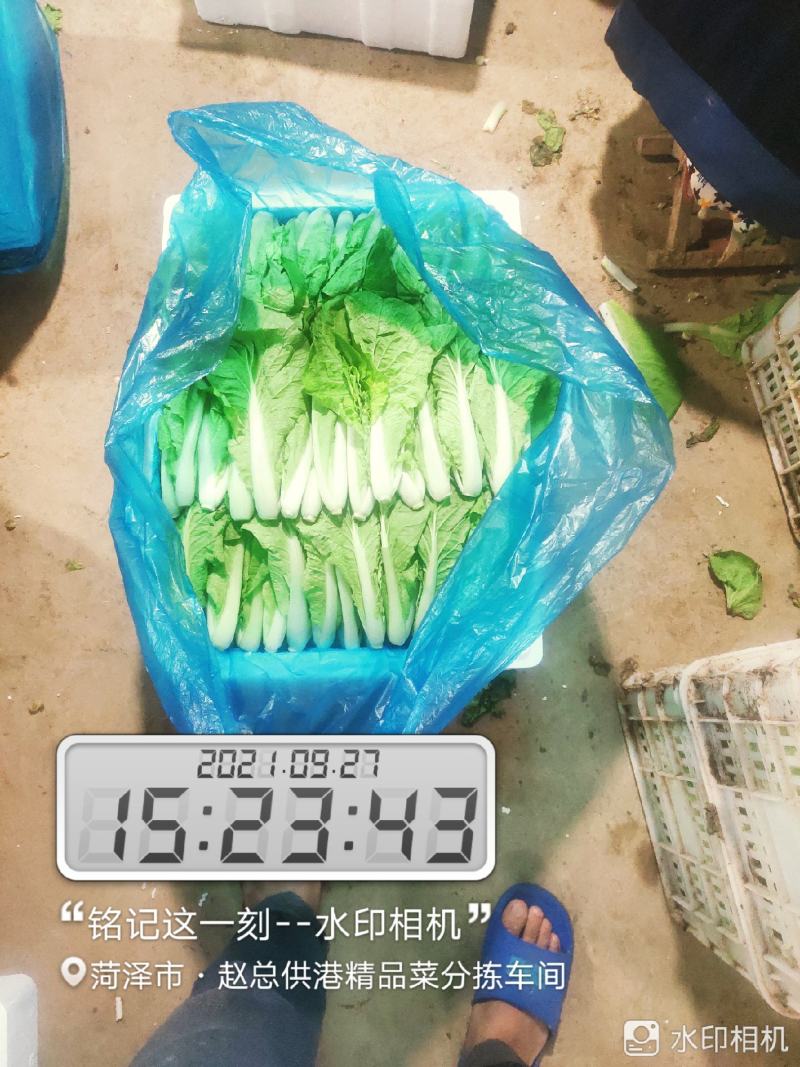 每天大量有货
