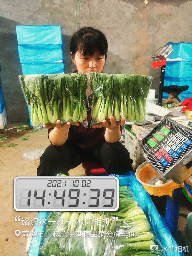 每天大量有货