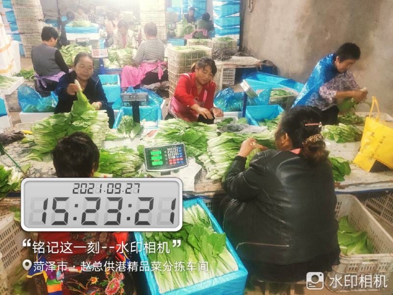 每天大量有货