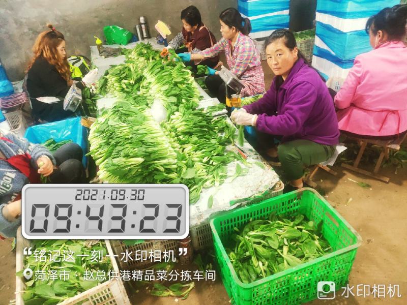 每天大量有货