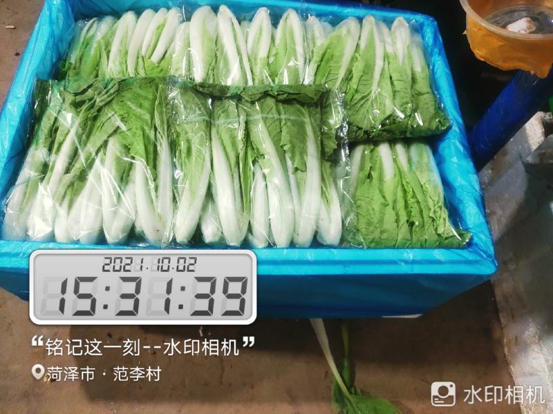 每天大量有货