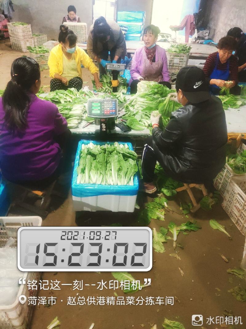 每天大量有货