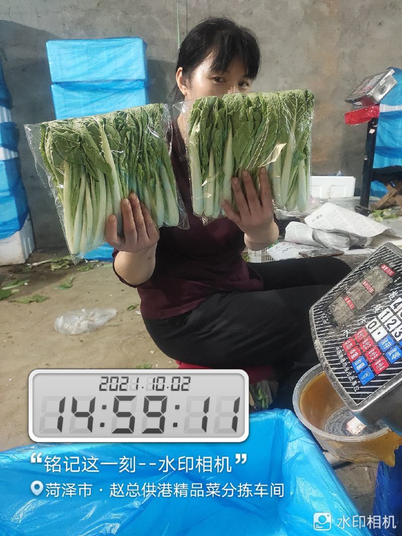 每天大量有货