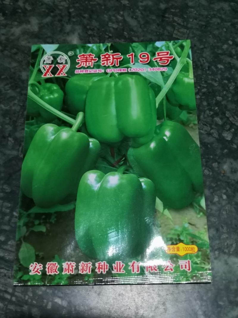 泡椒种子